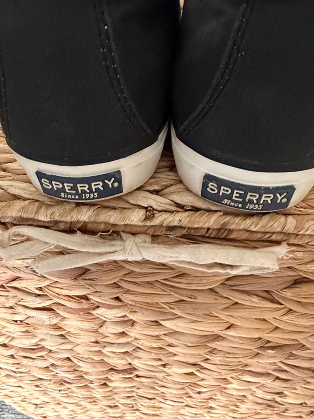 Sperry Black Canvas No tie Sneakers with Brown leather Laces - Picture 5 of 6